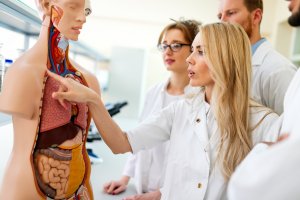 Etudiants en médecine /Corps humain